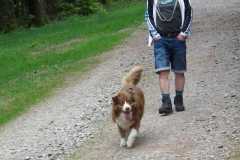 IMG-20250518-WA0050