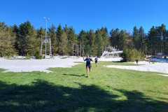 HirnbirnUp_2024-23