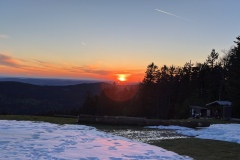HirnbirnUp_2024-24