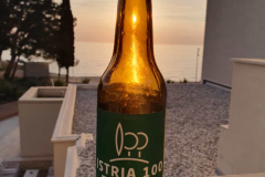 ISTRIA100_2024-2