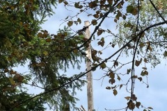 1_Kreuz-Kastenstein-Einweihung-5