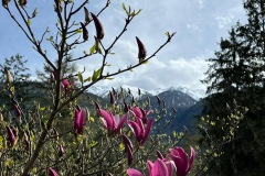 OeTZITRAIL_2024-4