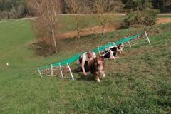 Strongdog_03_2024-4