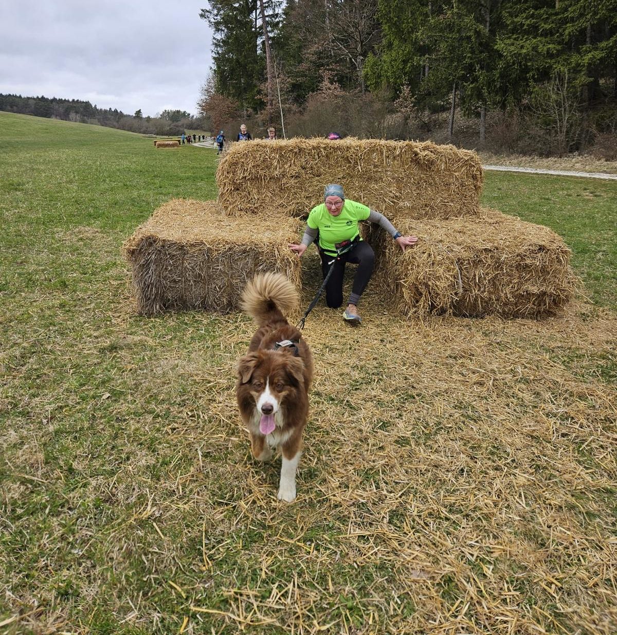 StrongDog Wild & Dirty South